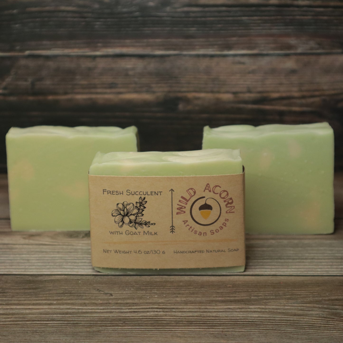 Fresh Succulent Soap with Goat Milk