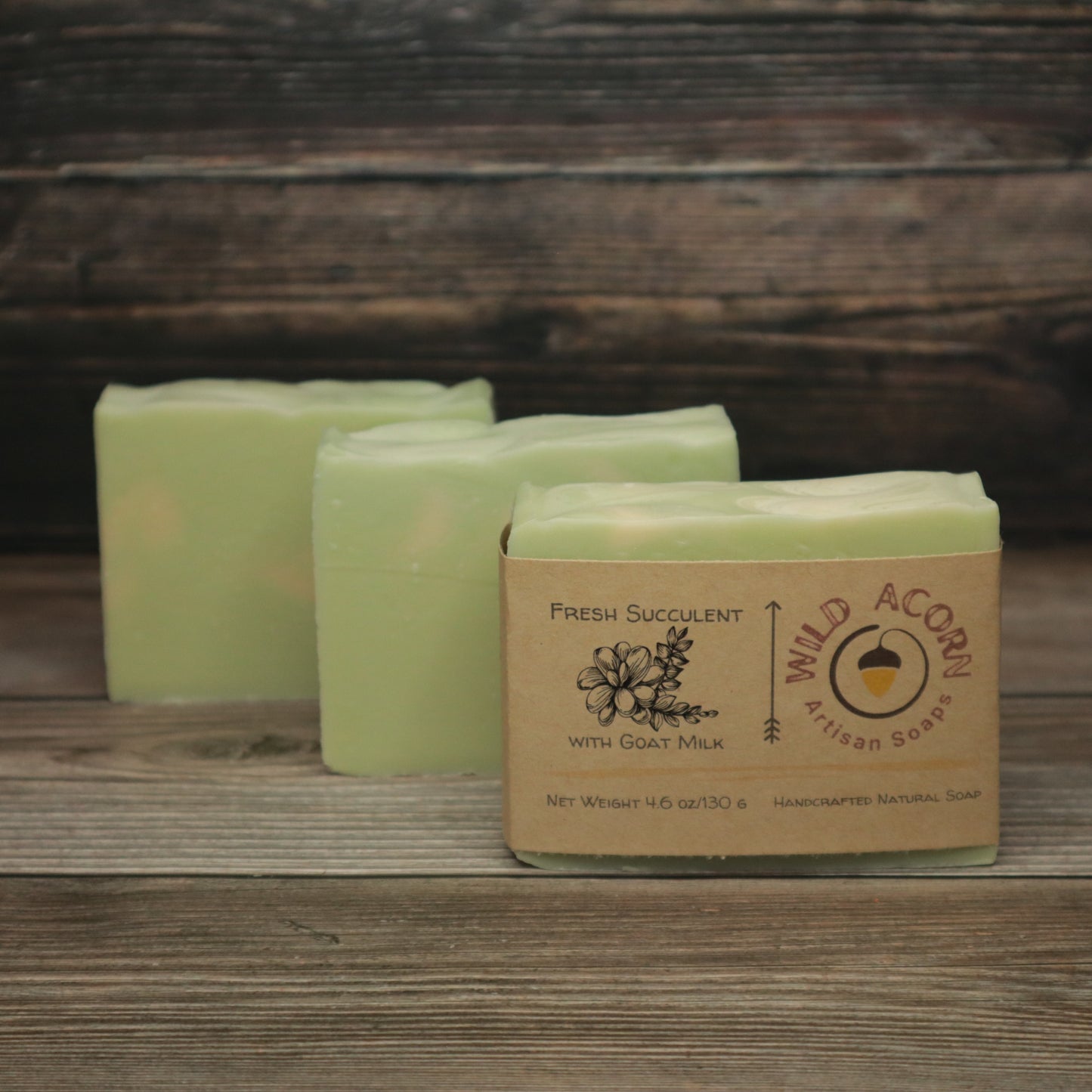 Fresh Succulent Soap with Goat Milk
