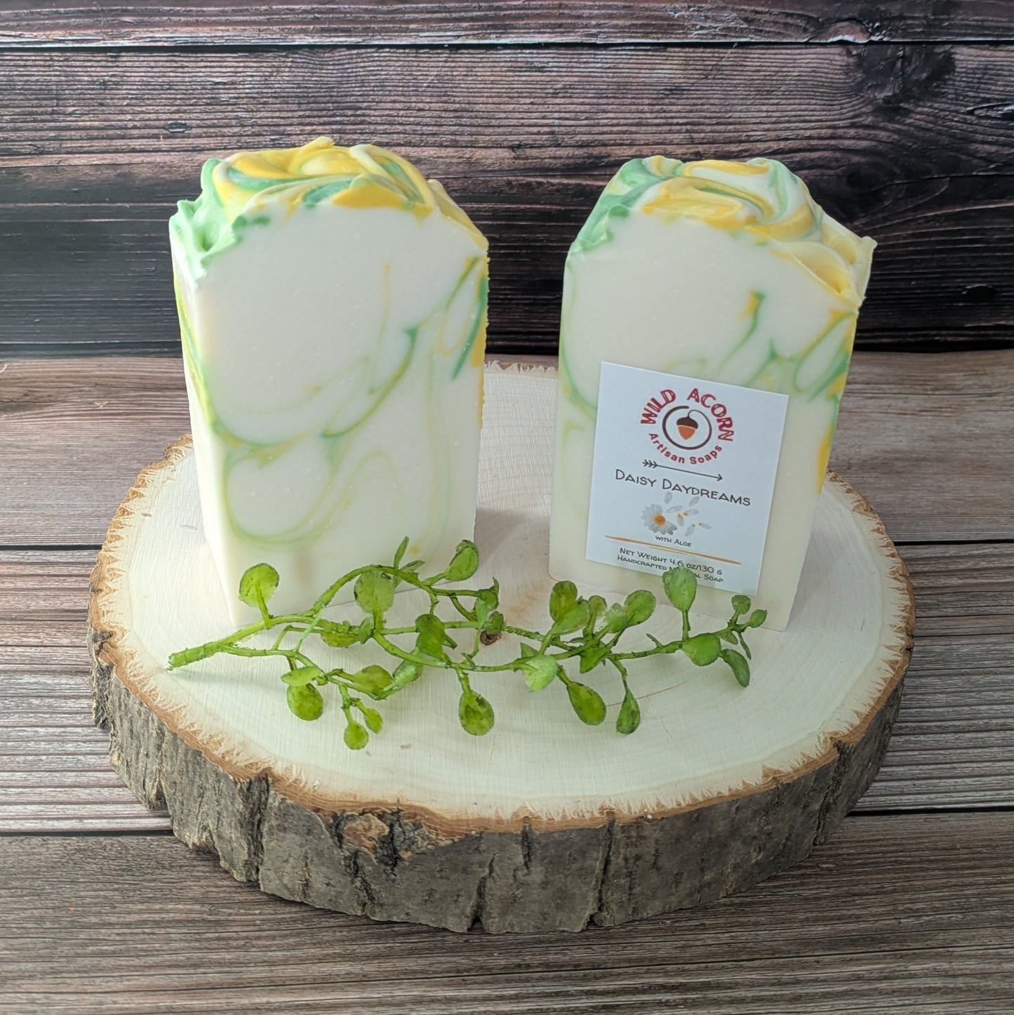 Daisy Daydreams with Aloe