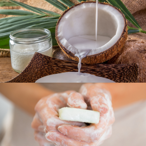 Benefits of Coconut Milk in Soap