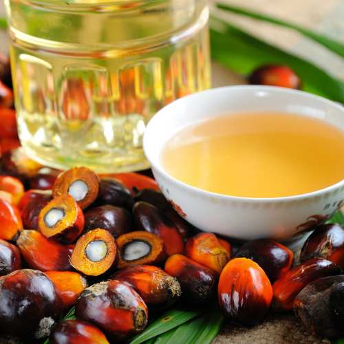 pile of palm fruit lying next to a white bowl full of pale yellow oil and a partial view of a jug of pale yellow oil.