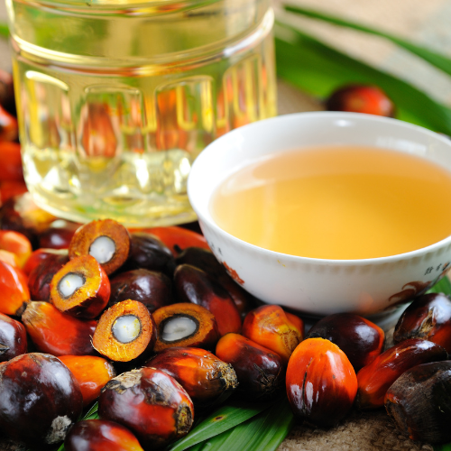 What's the controversy over palm oil?