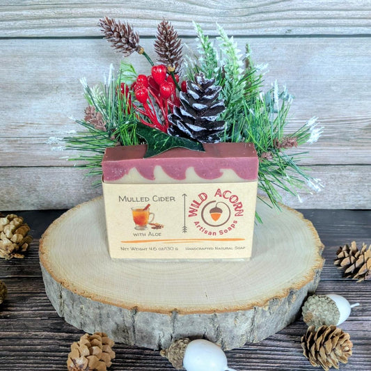 Mulled Cider with Aloe Soap