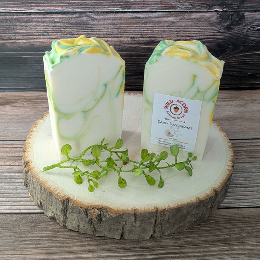 Daisy Daydreams with Aloe