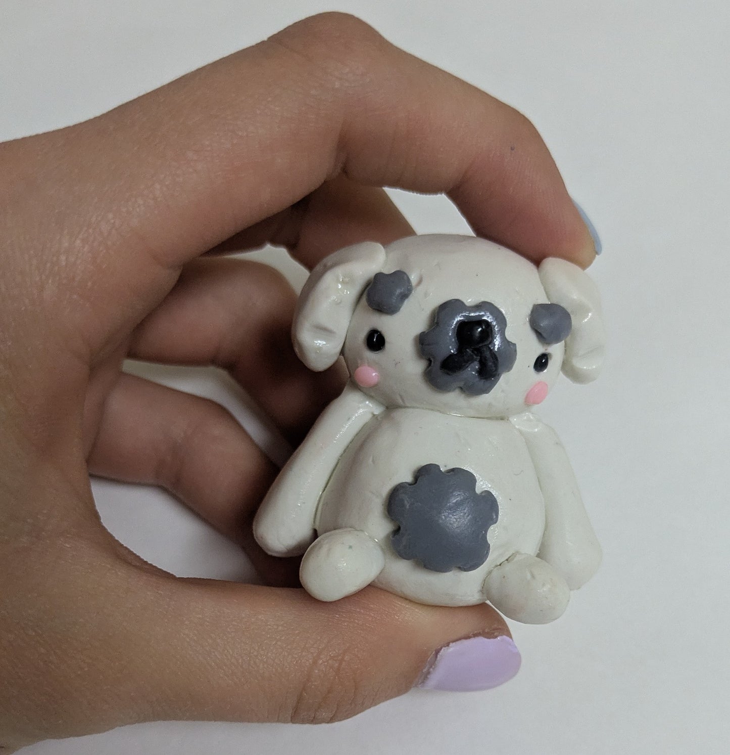 White 'n' Gray Puppy